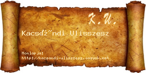 Kacsándi Ulisszesz névjegykártya
